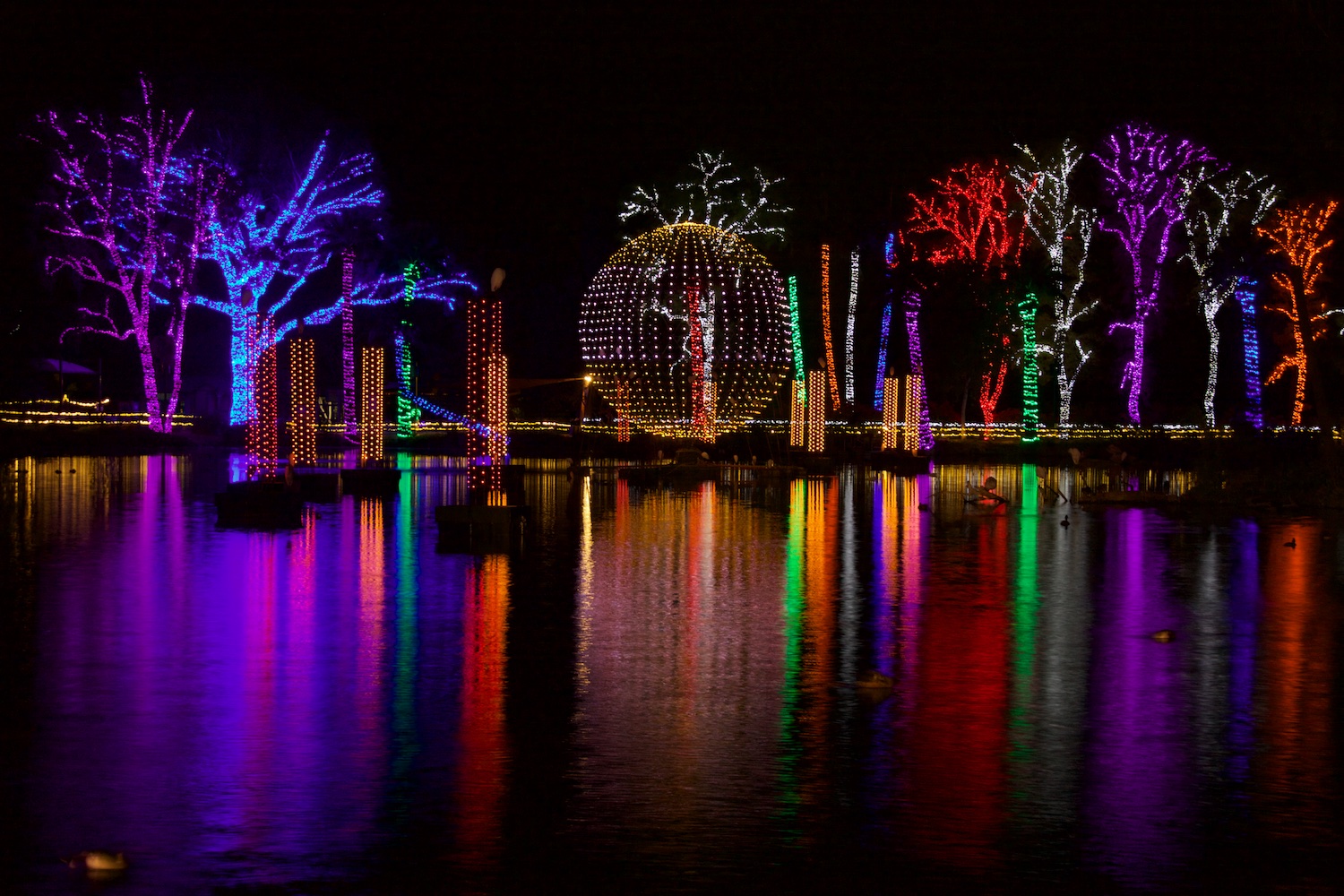 ZooLights0002