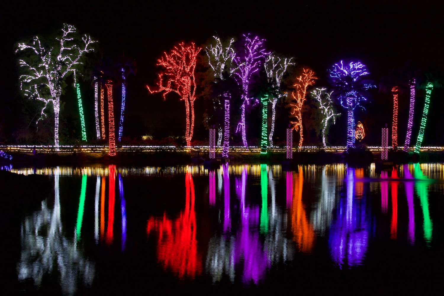 ZooLights0004