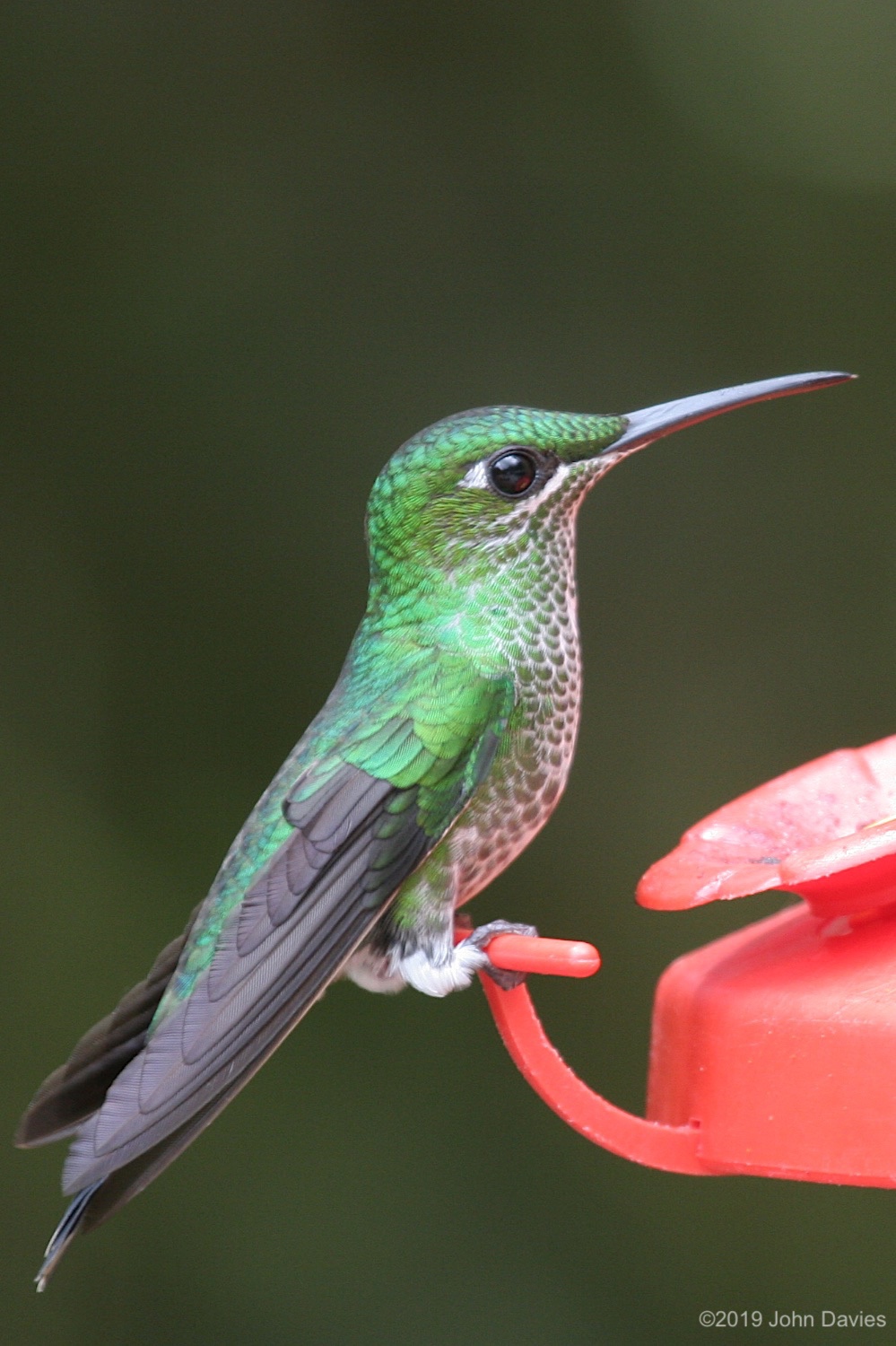 CostaRica20050018