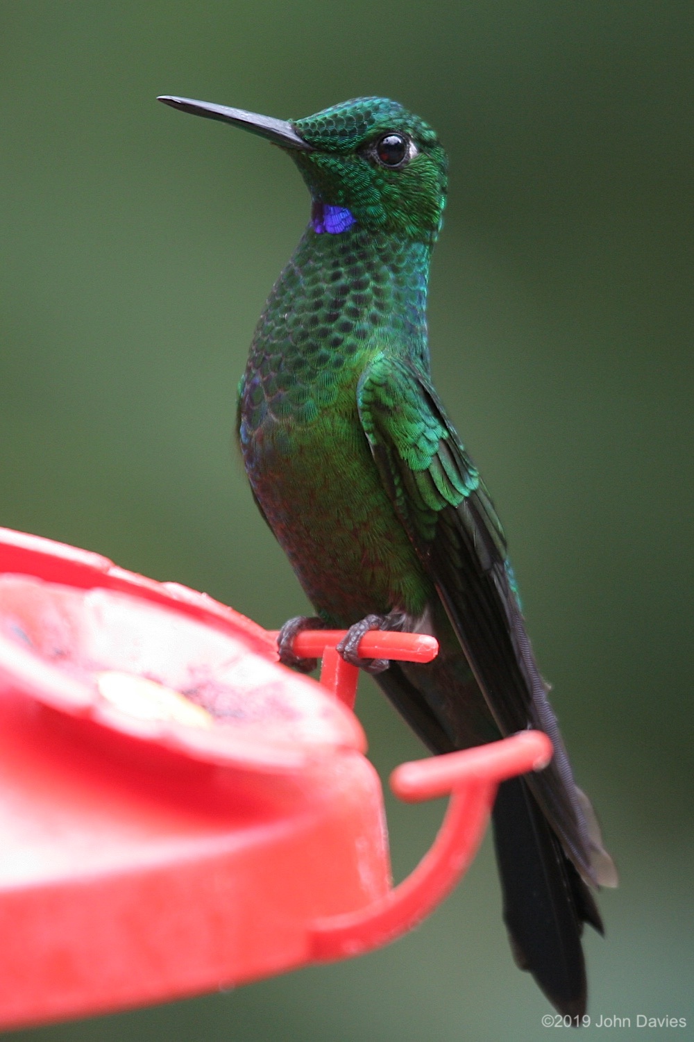 CostaRica20050019