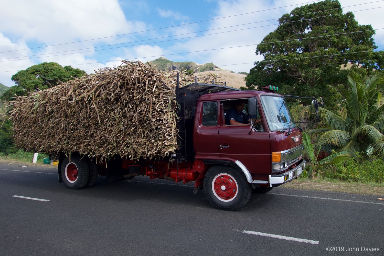 Fiji20150003