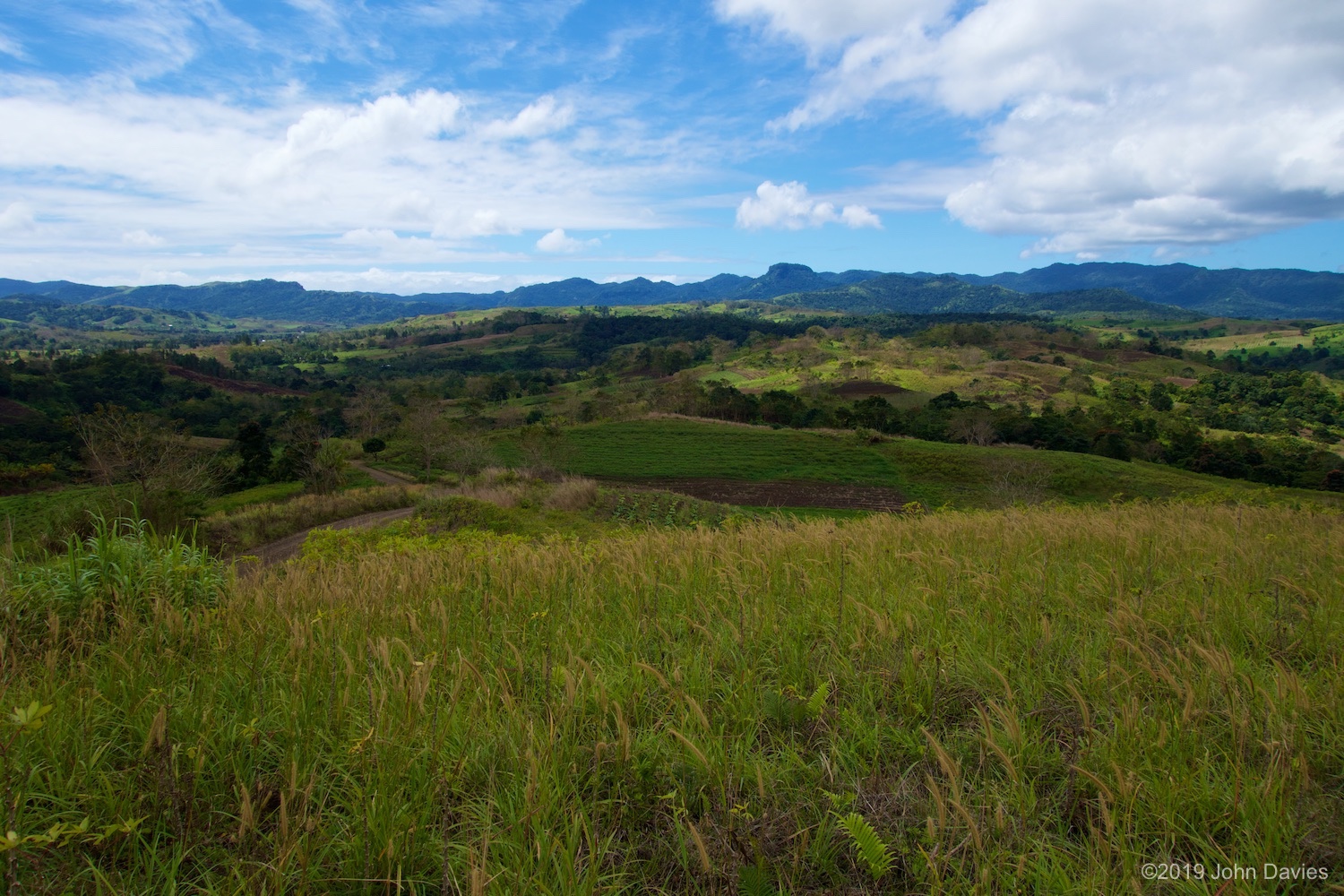 Fiji20150013