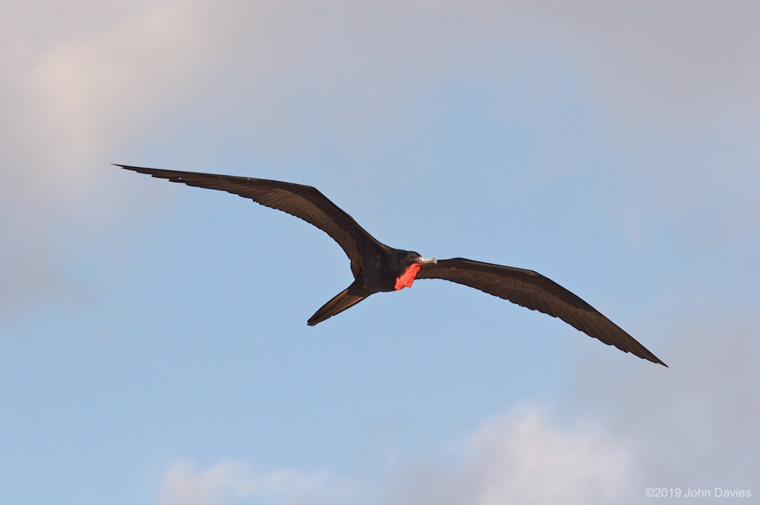 Galapagos20070013