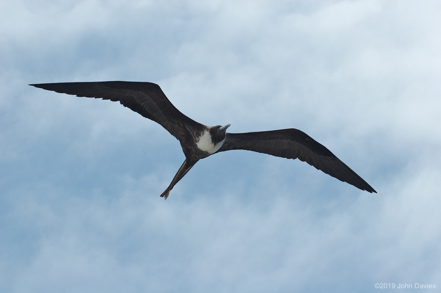 Galapagos20070014