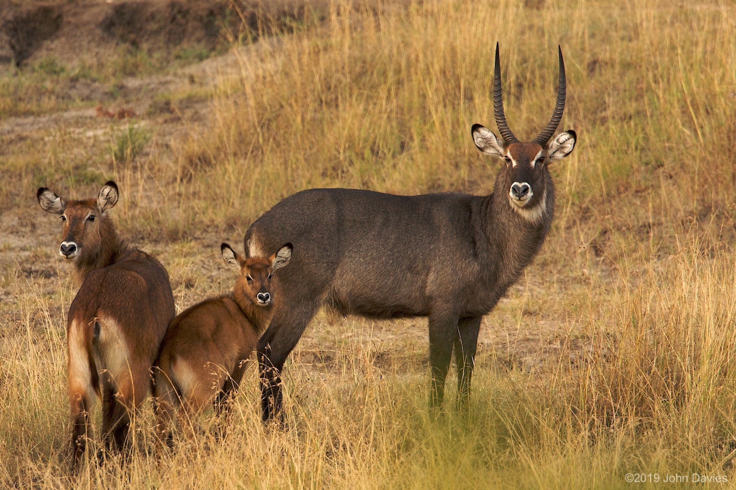 Tanzania20080008