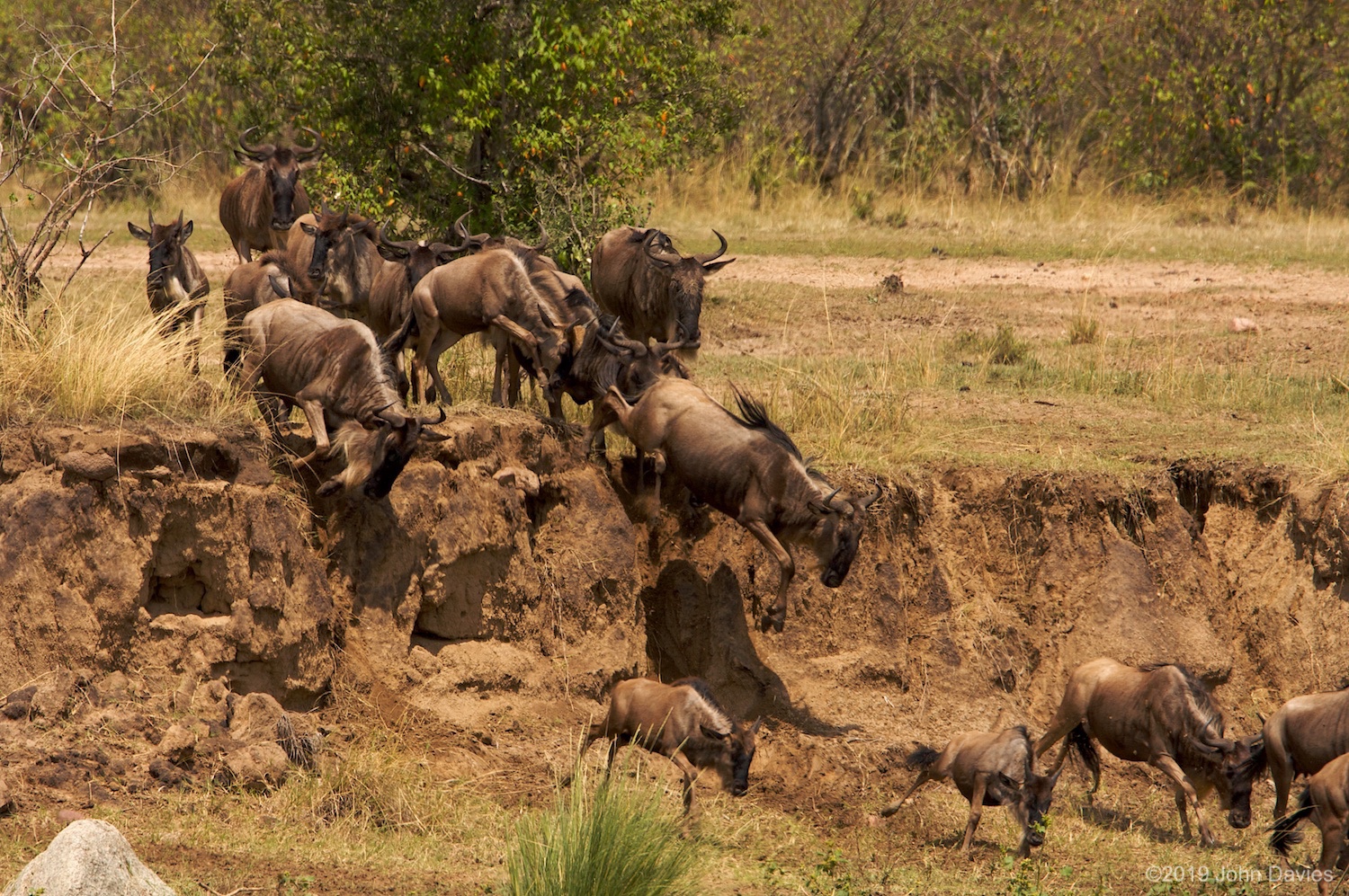 Tanzania20080019