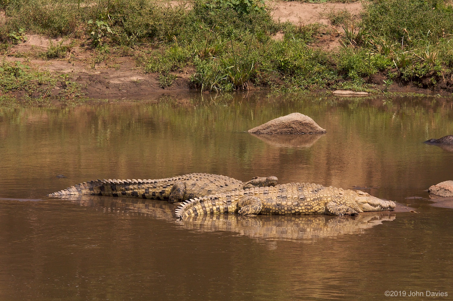 Tanzania20080020