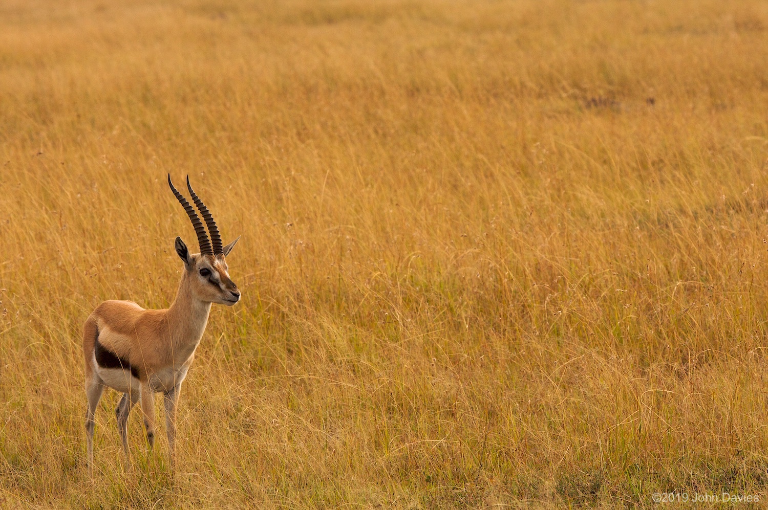 Tanzania20080026