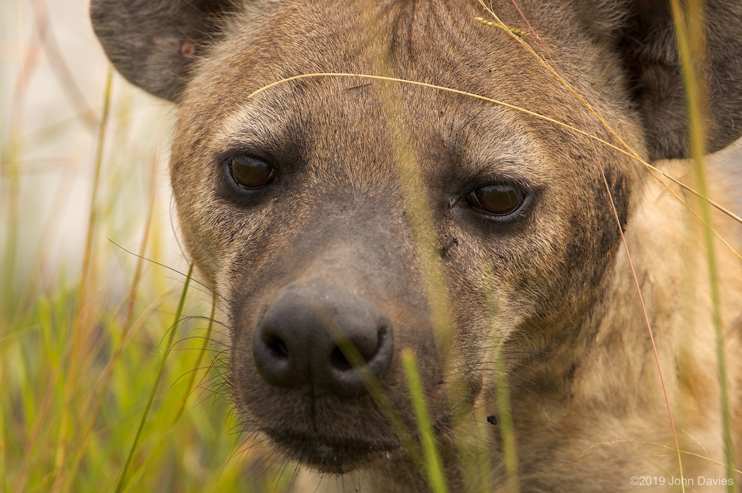 Tanzania20080031