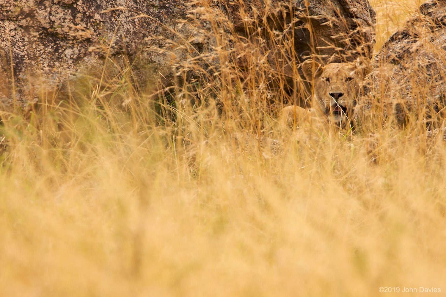 Tanzania20080035