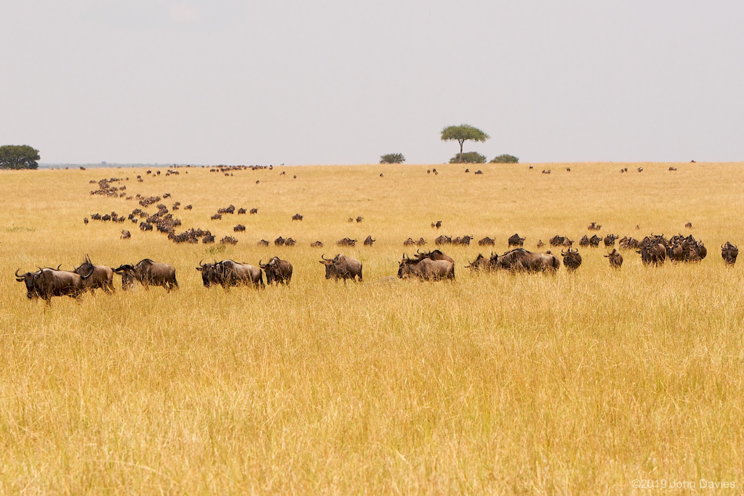 Tanzania20080037