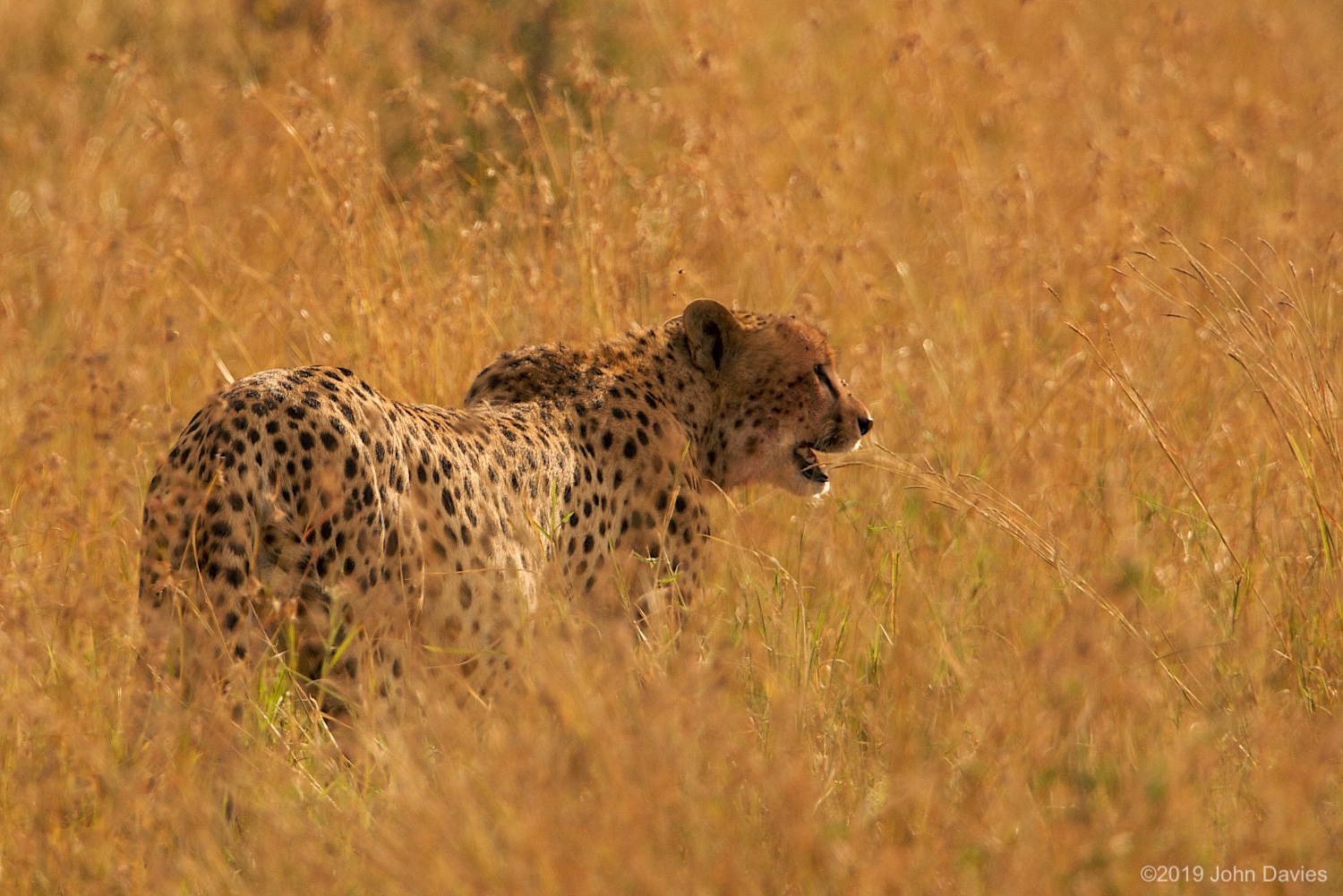 Tanzania20080038