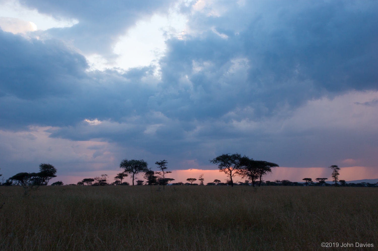 Tanzania20080039