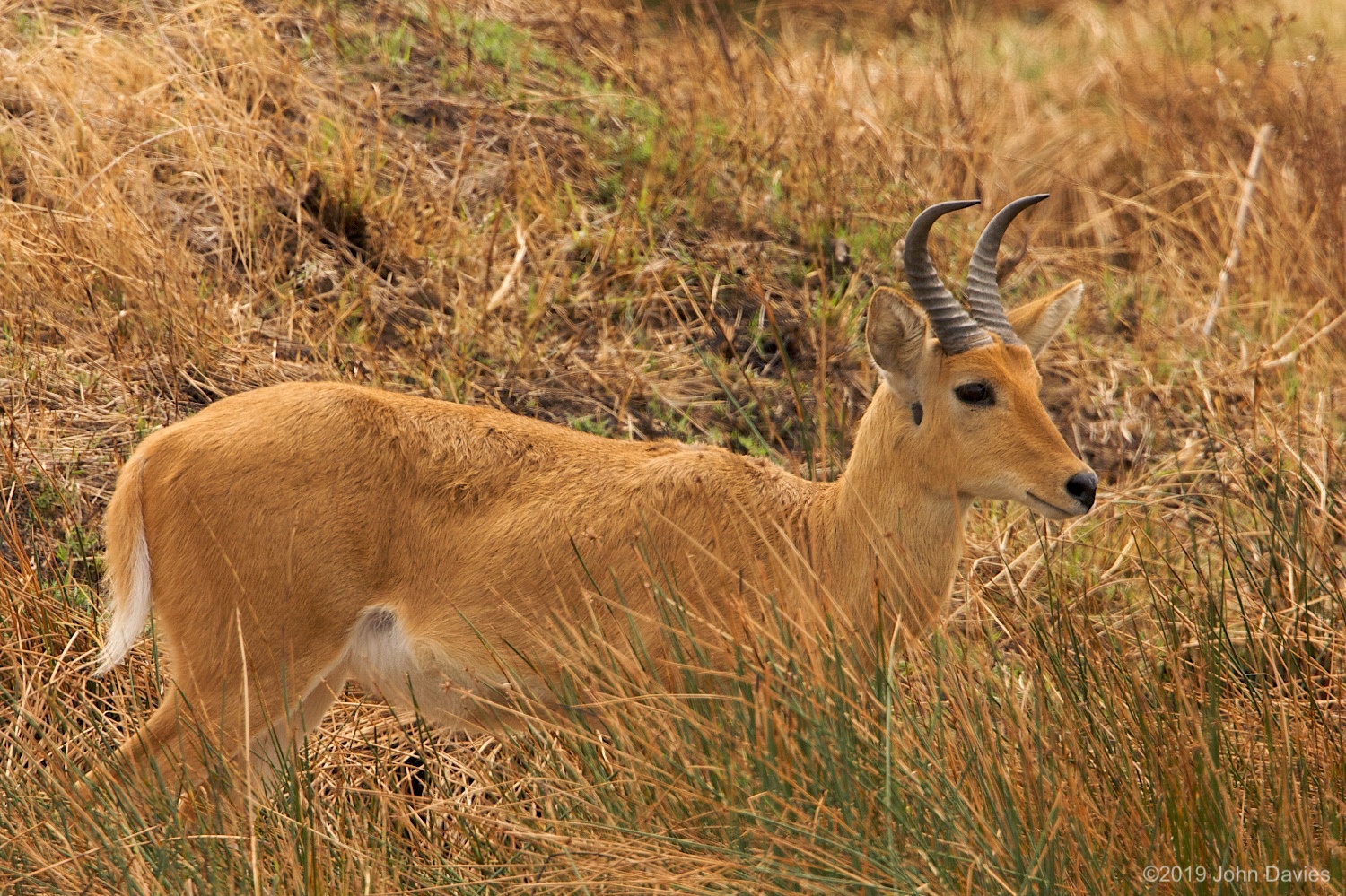 Tanzania20080043