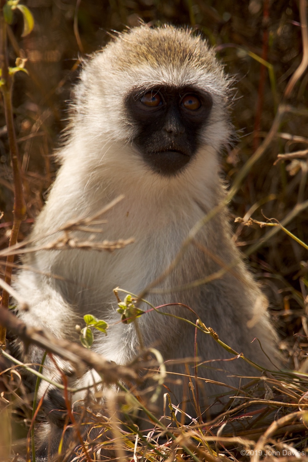 Tanzania20080045