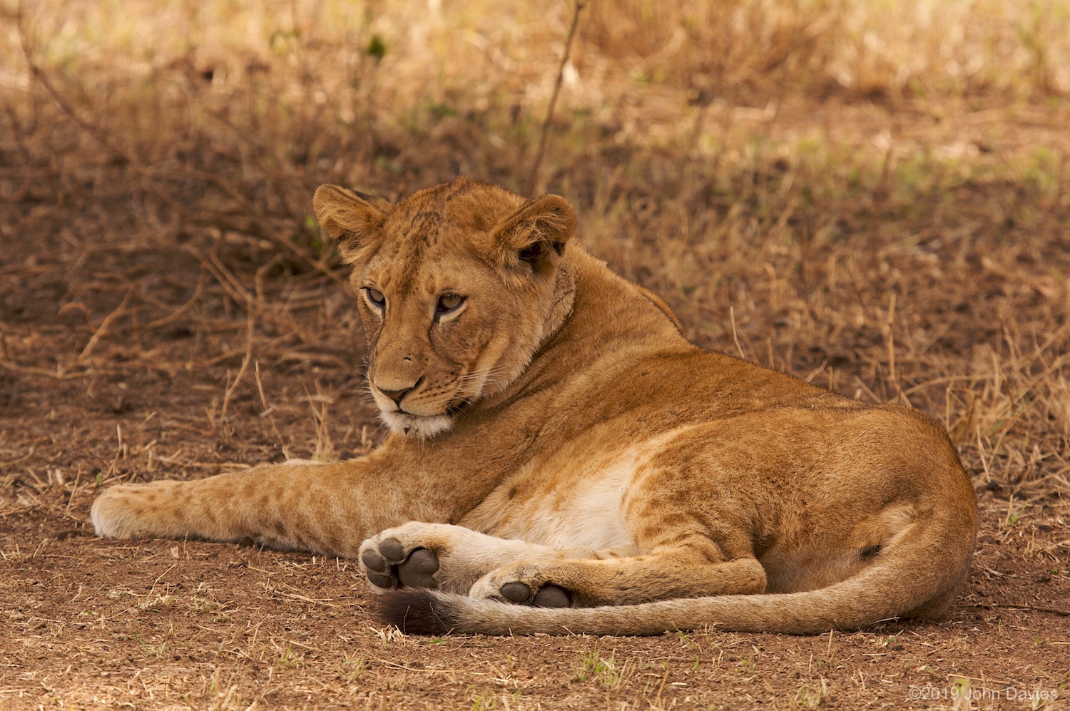 Tanzania20080050