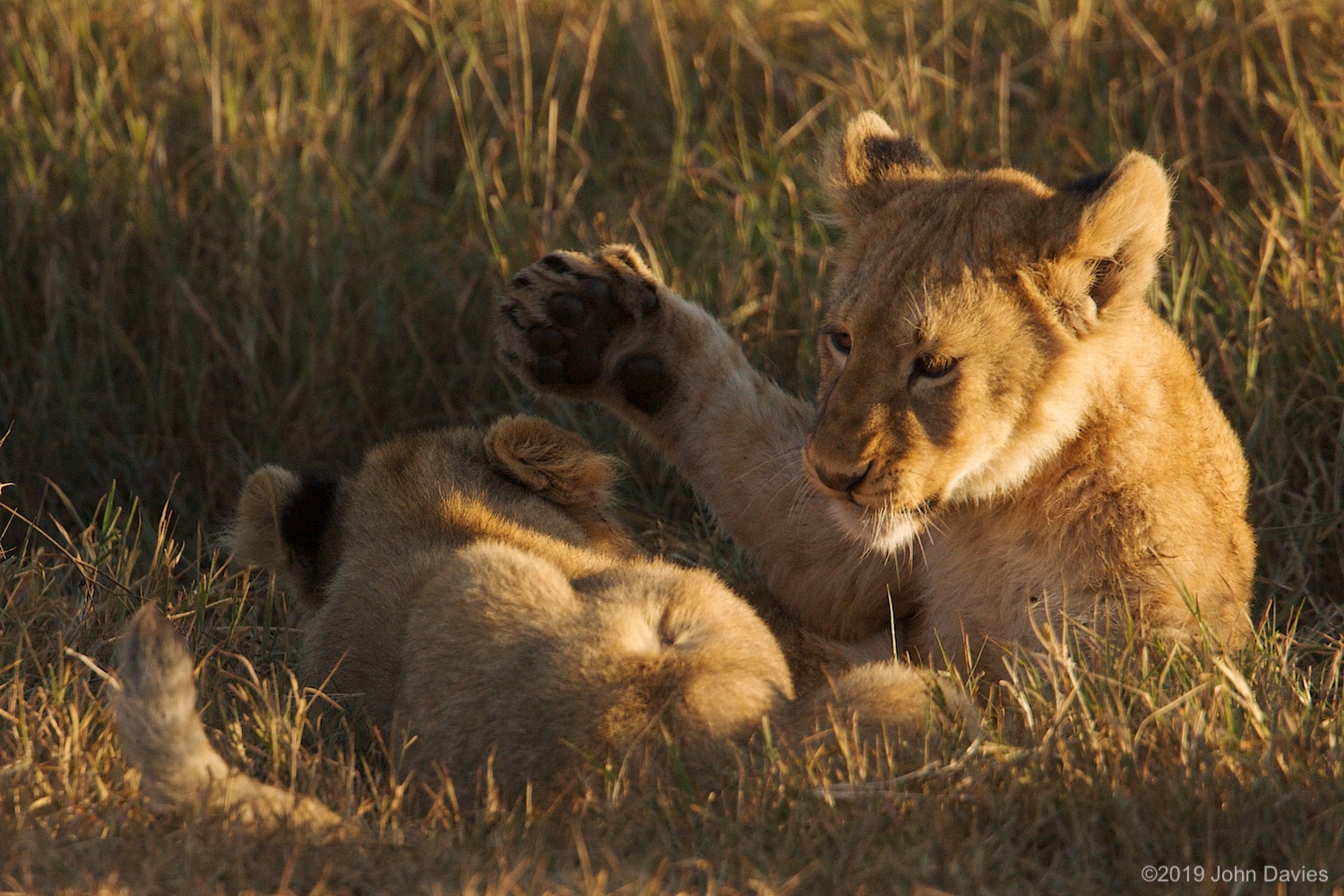 Tanzania20080054