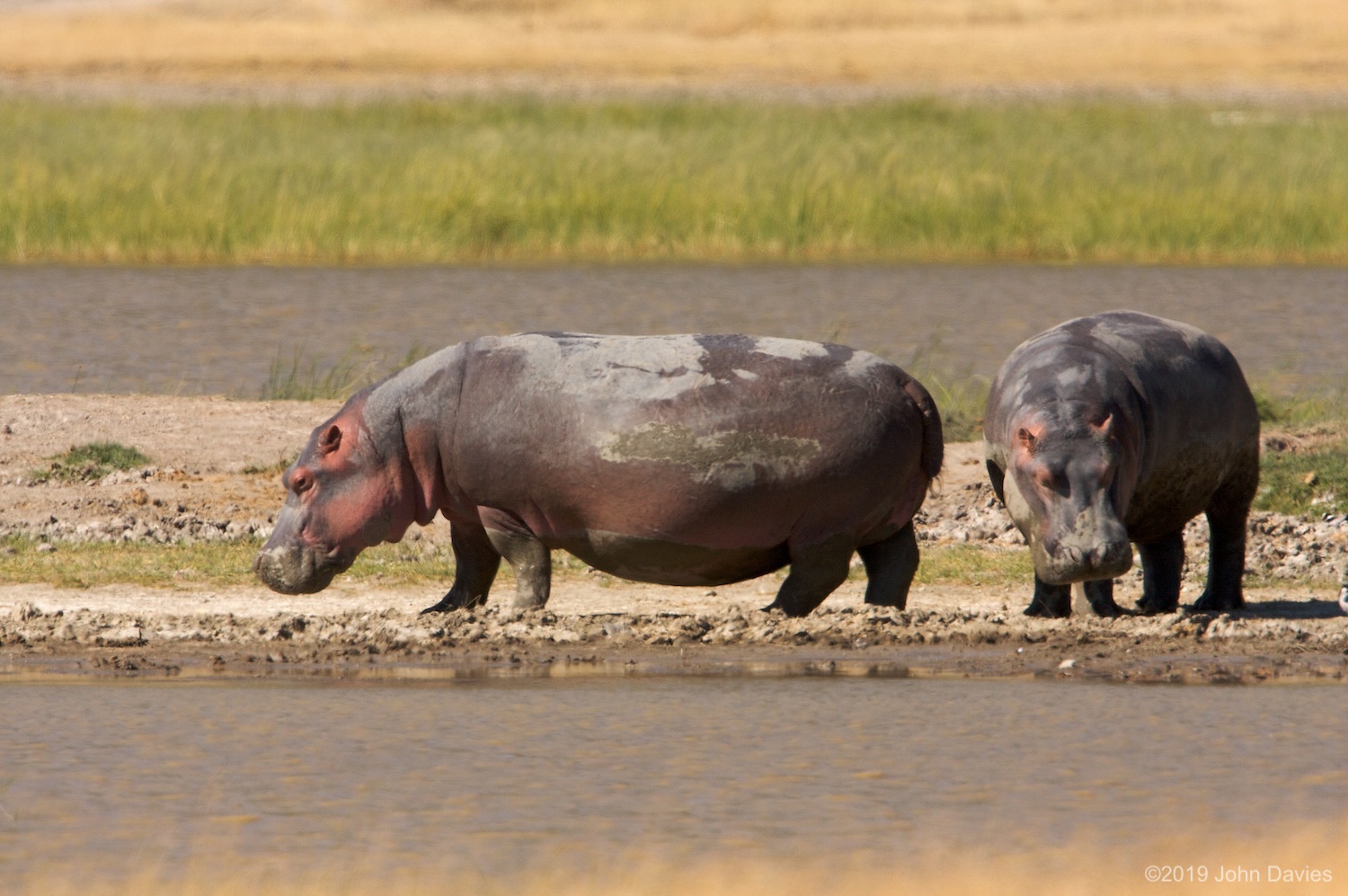 Tanzania20080065