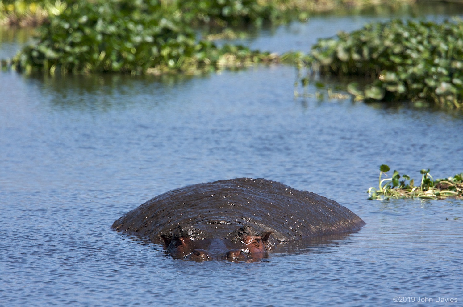 Tanzania20080068