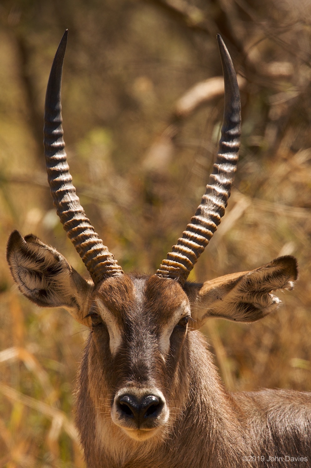 Tanzania20080071