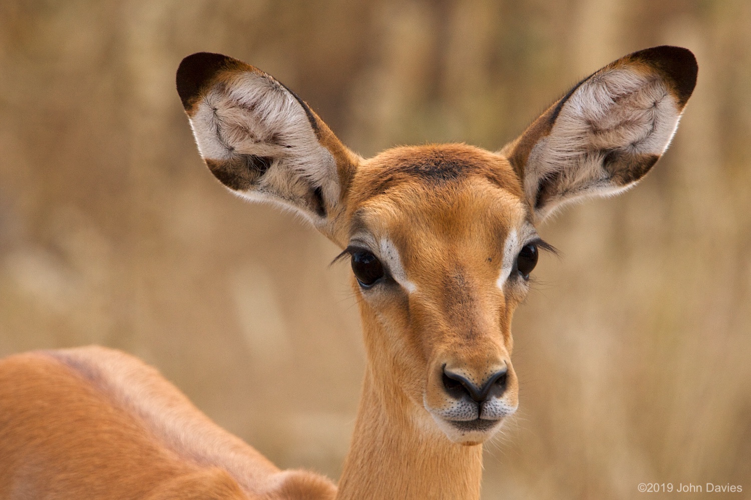 Tanzania20080072