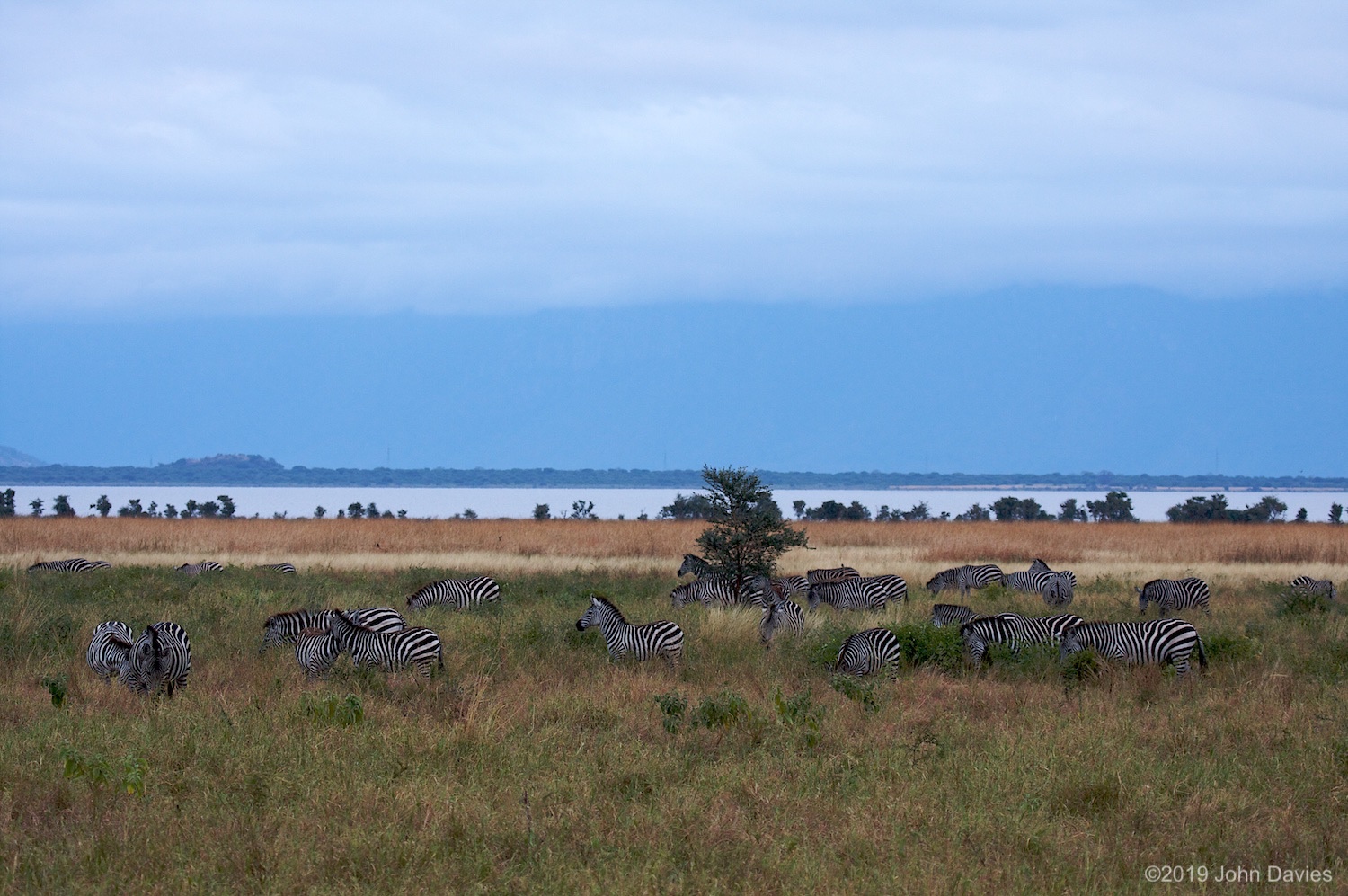 Tanzania20080073