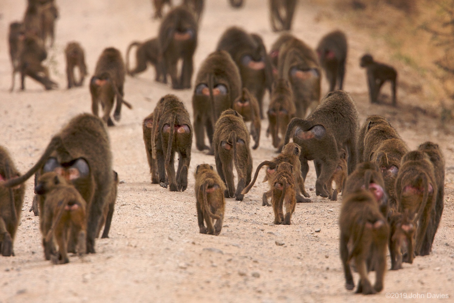 Tanzania20080076