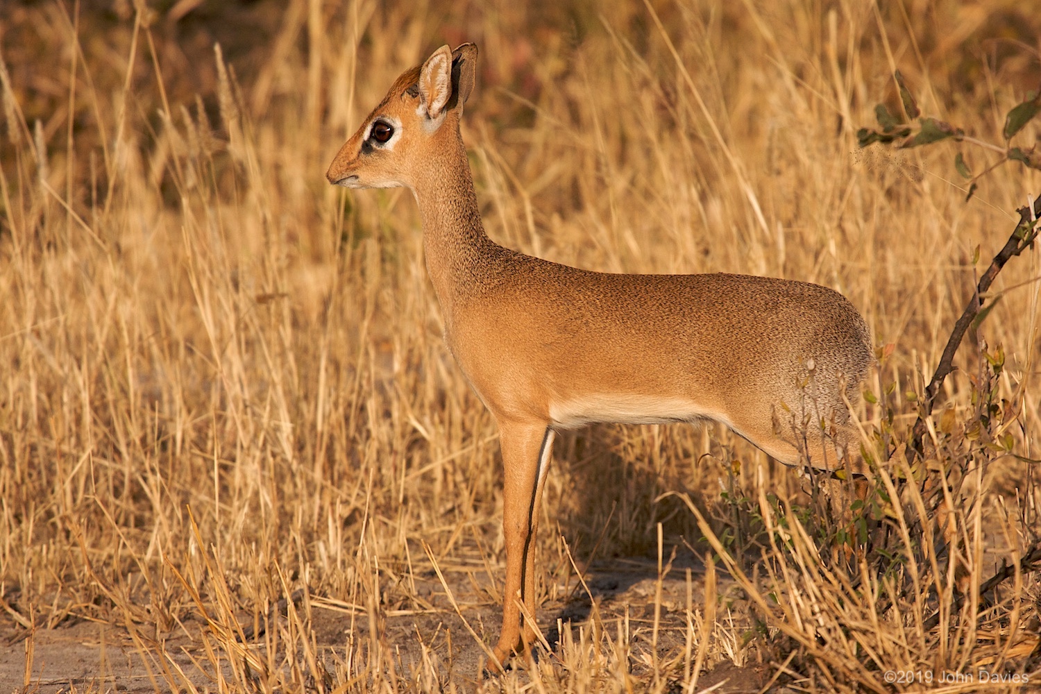 Tanzania20080081