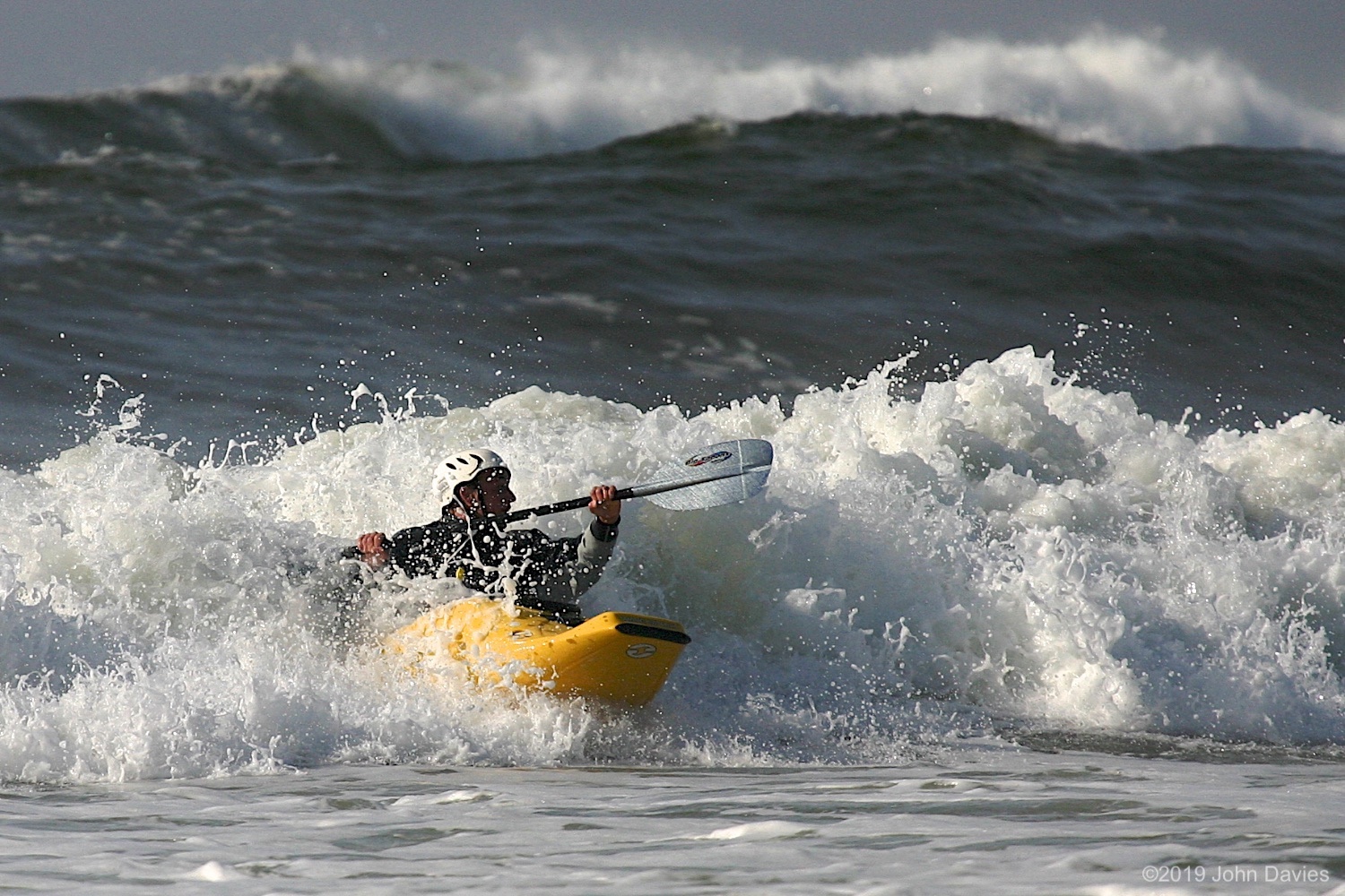 Tofino20040003