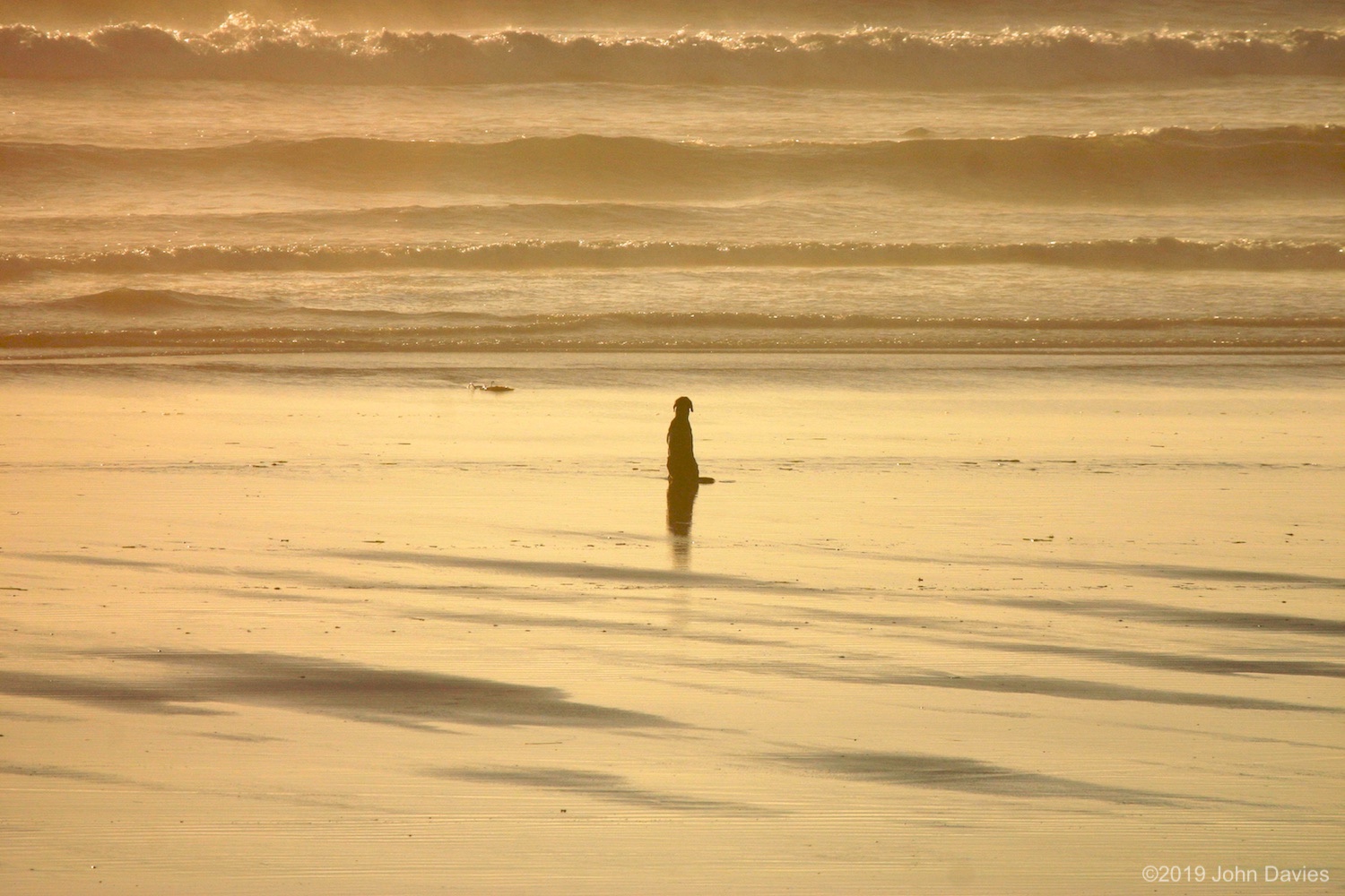 Tofino20040008