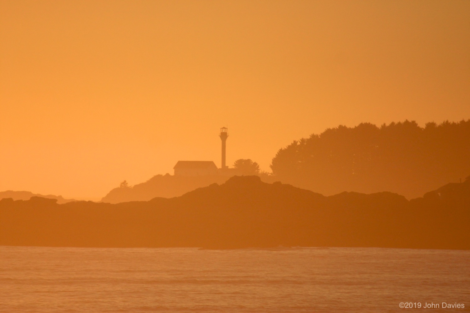 Tofino20040009