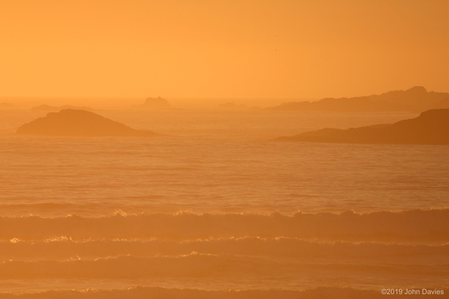 Tofino20040010