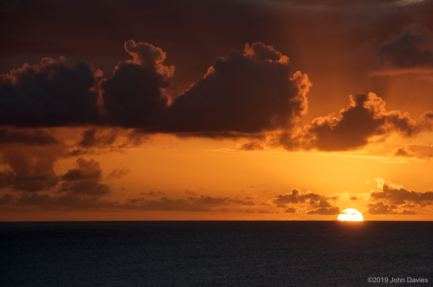 Bonaire20080021