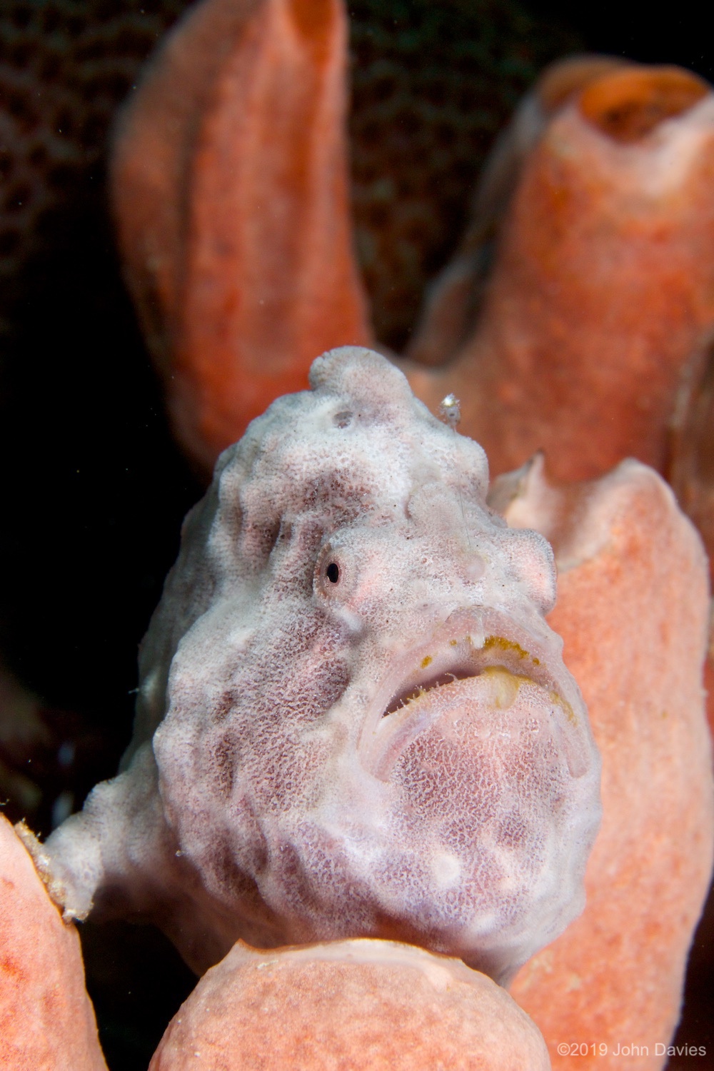 Bonaire20140005