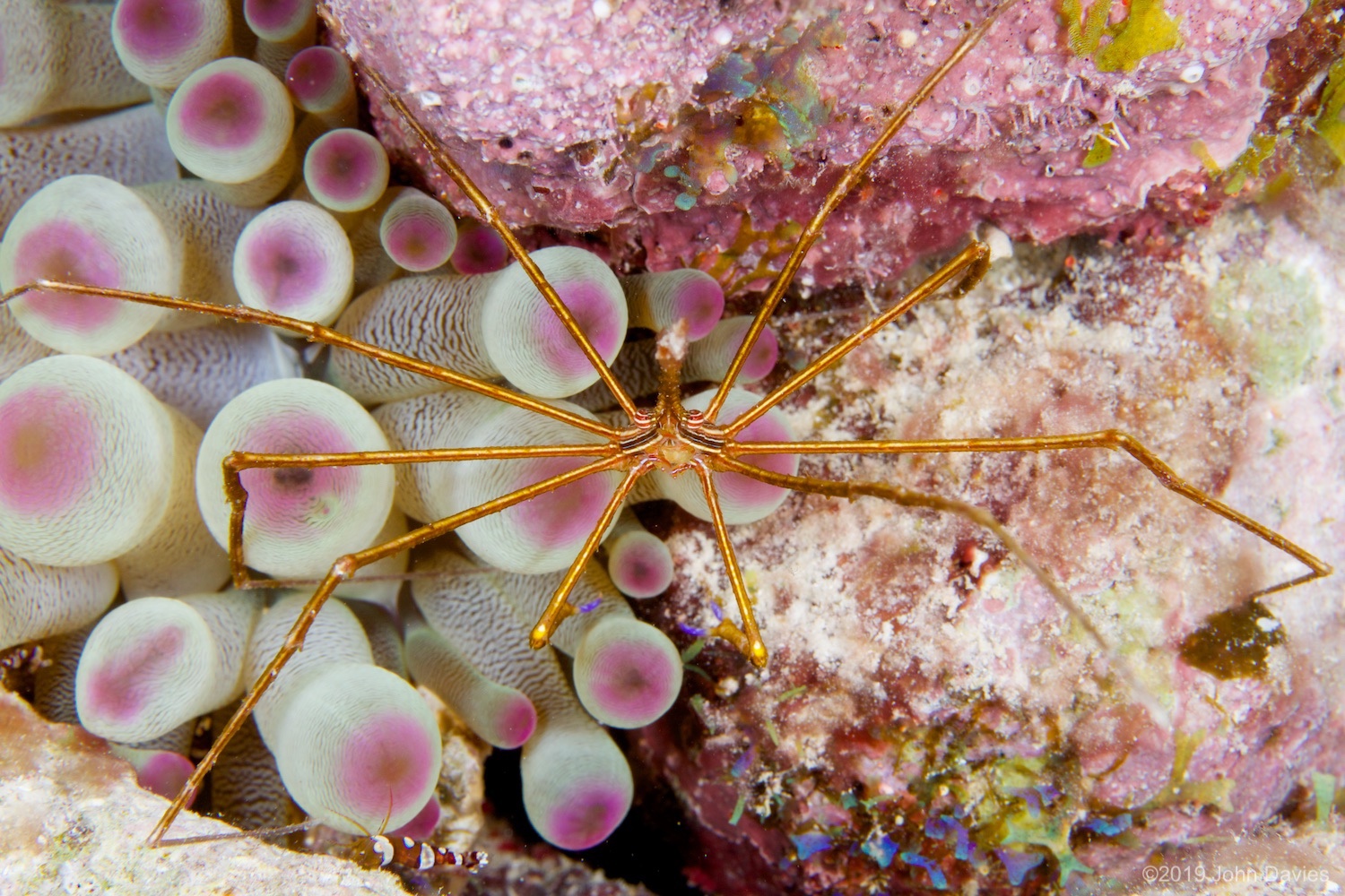 Bonaire20140012