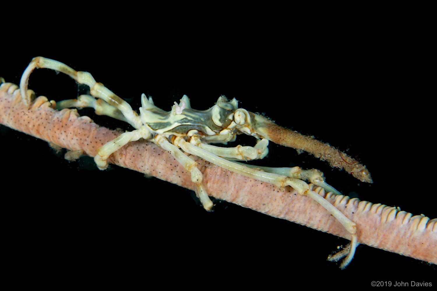 NadLembeh20120001