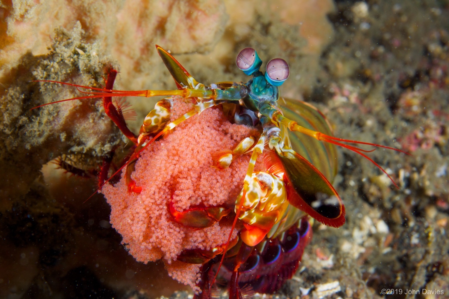 NadLembeh20120004