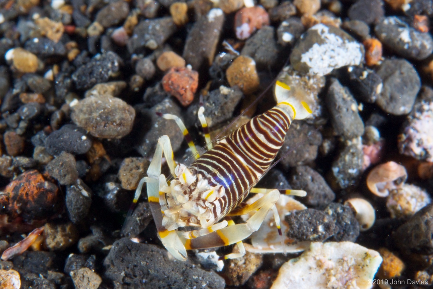 NadLembeh20120005