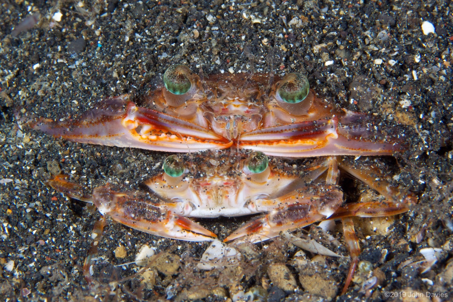 NadLembeh20120008