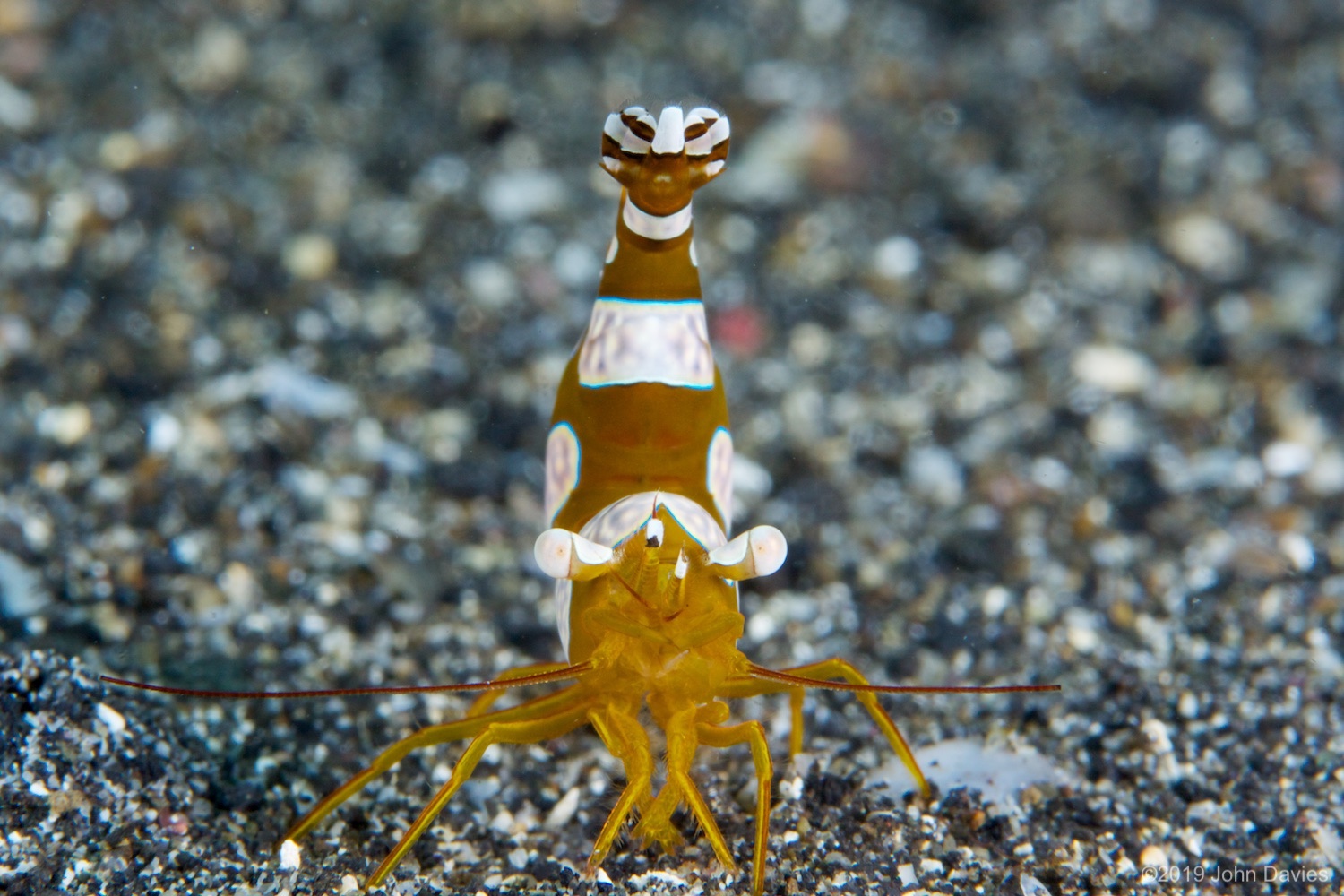 NadLembeh20120012