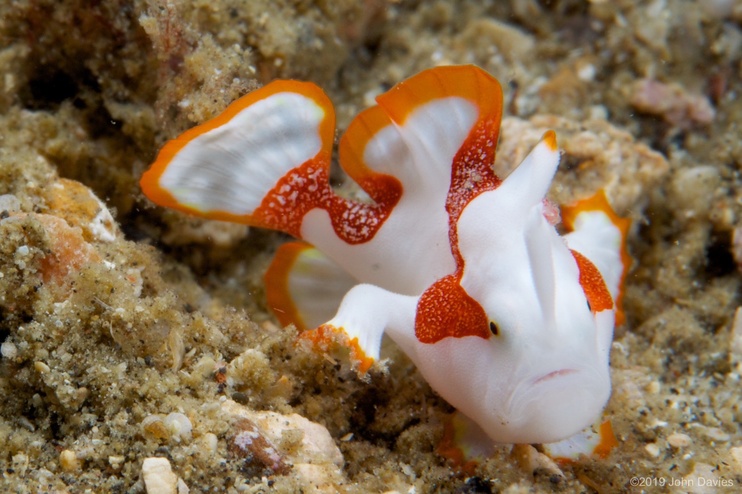 NadLembeh20120014