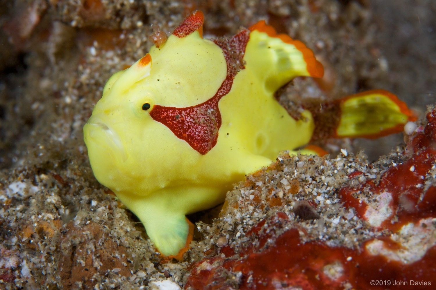 NadLembeh20120015