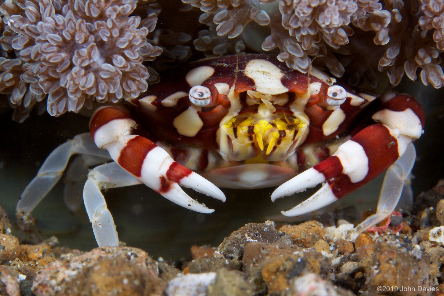 NadLembeh20120016