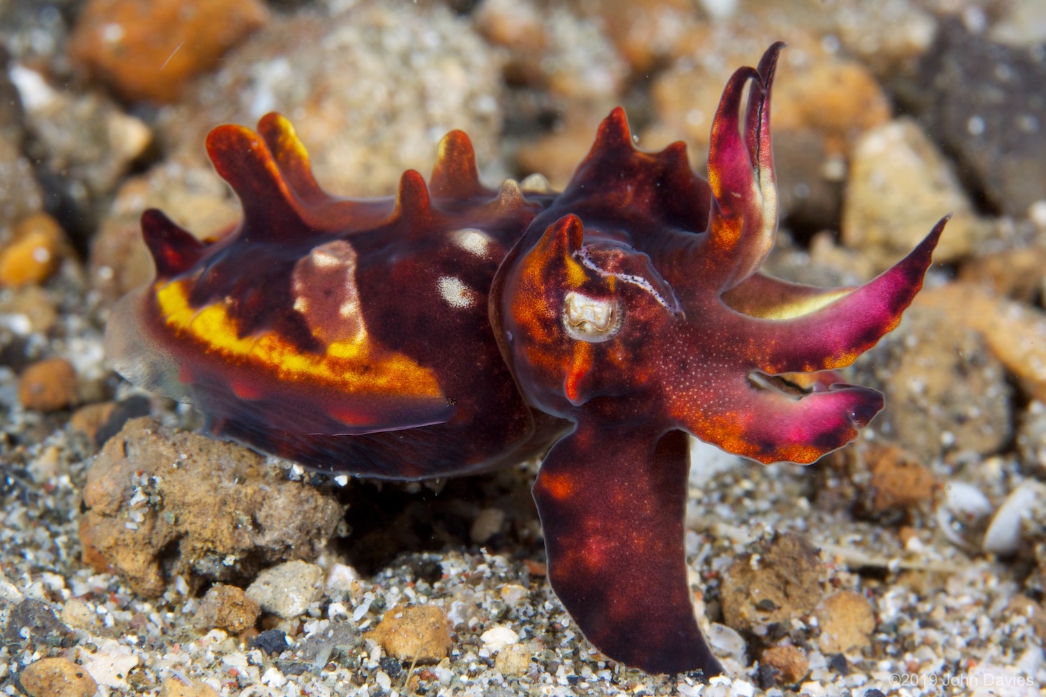 NadLembeh20120017