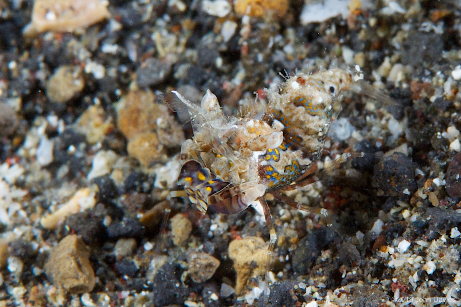 NadLembeh20120021