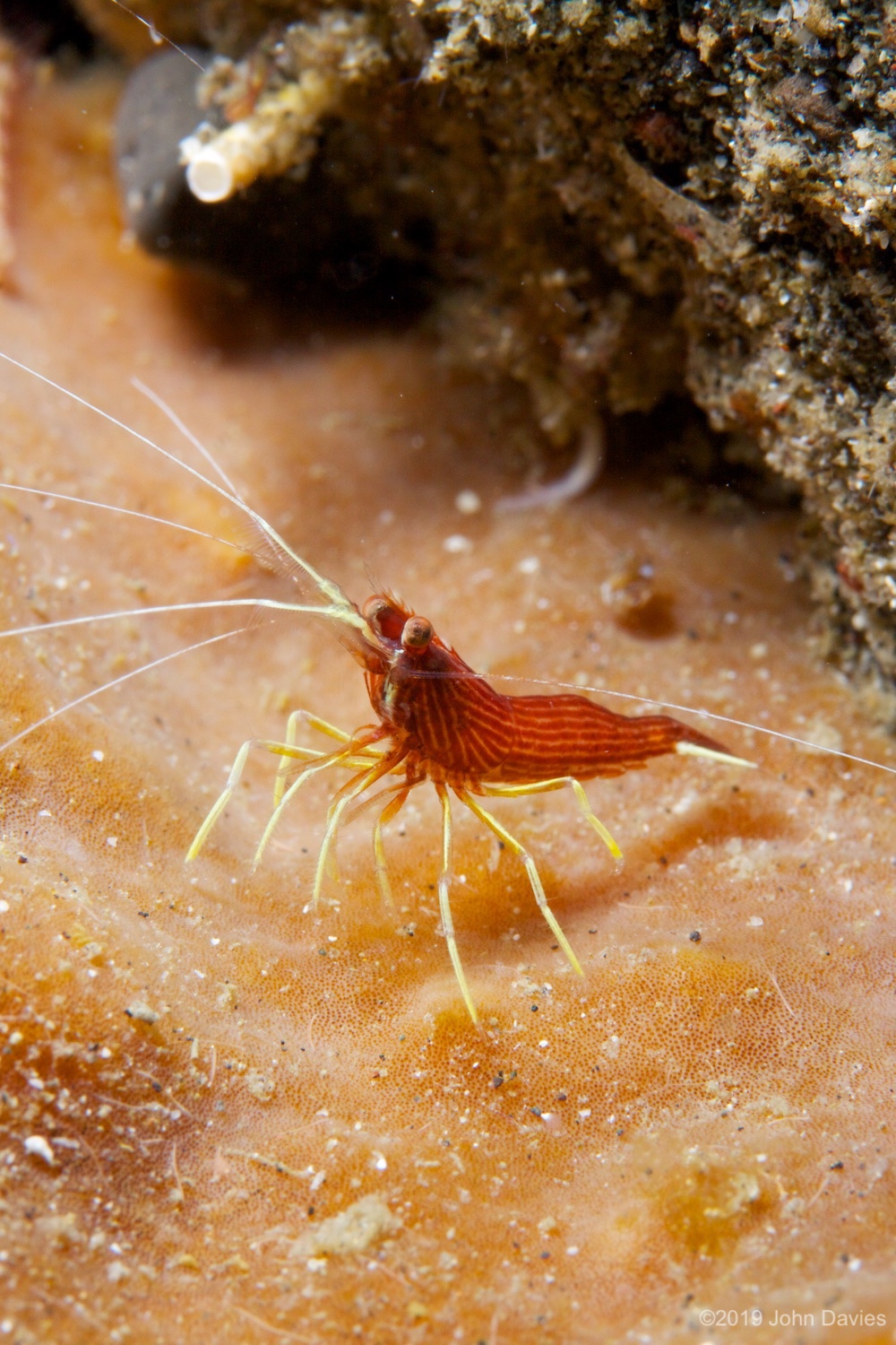 NadLembeh20120022