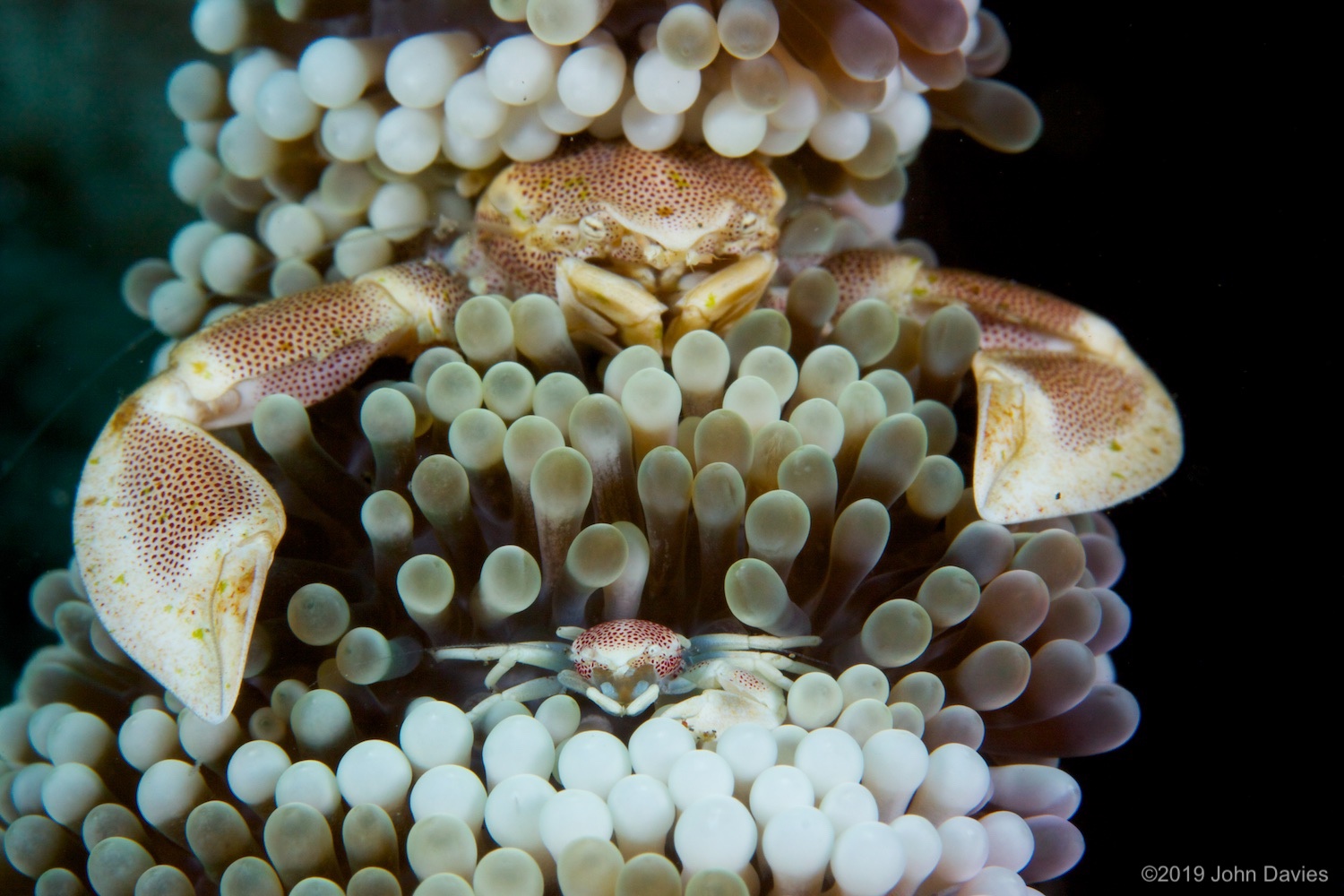 NadLembeh20120023