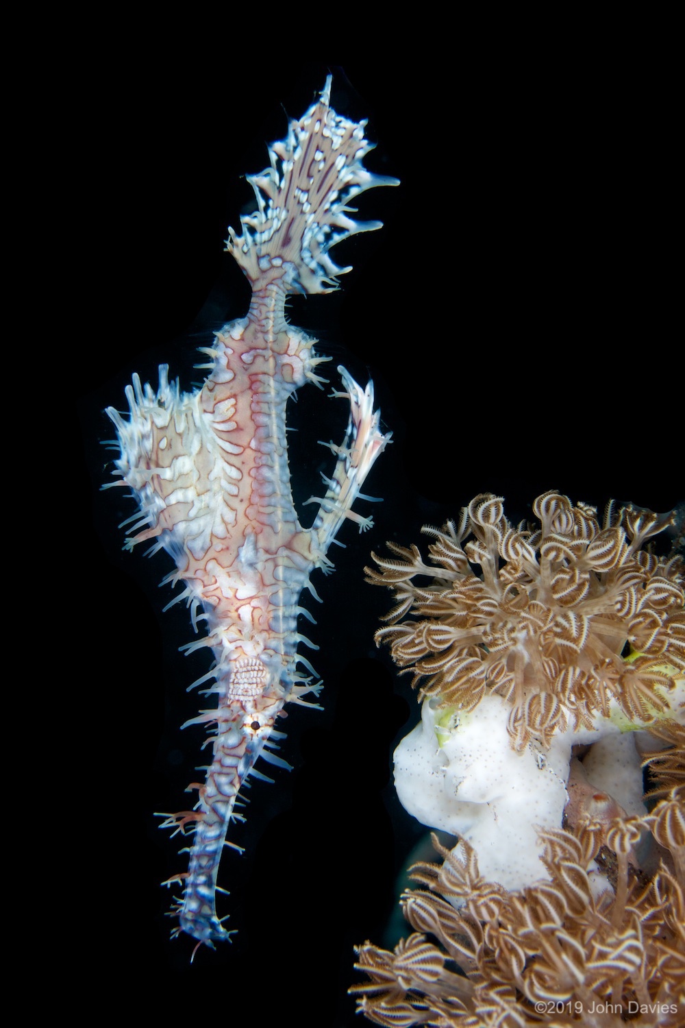 NadLembeh20120027