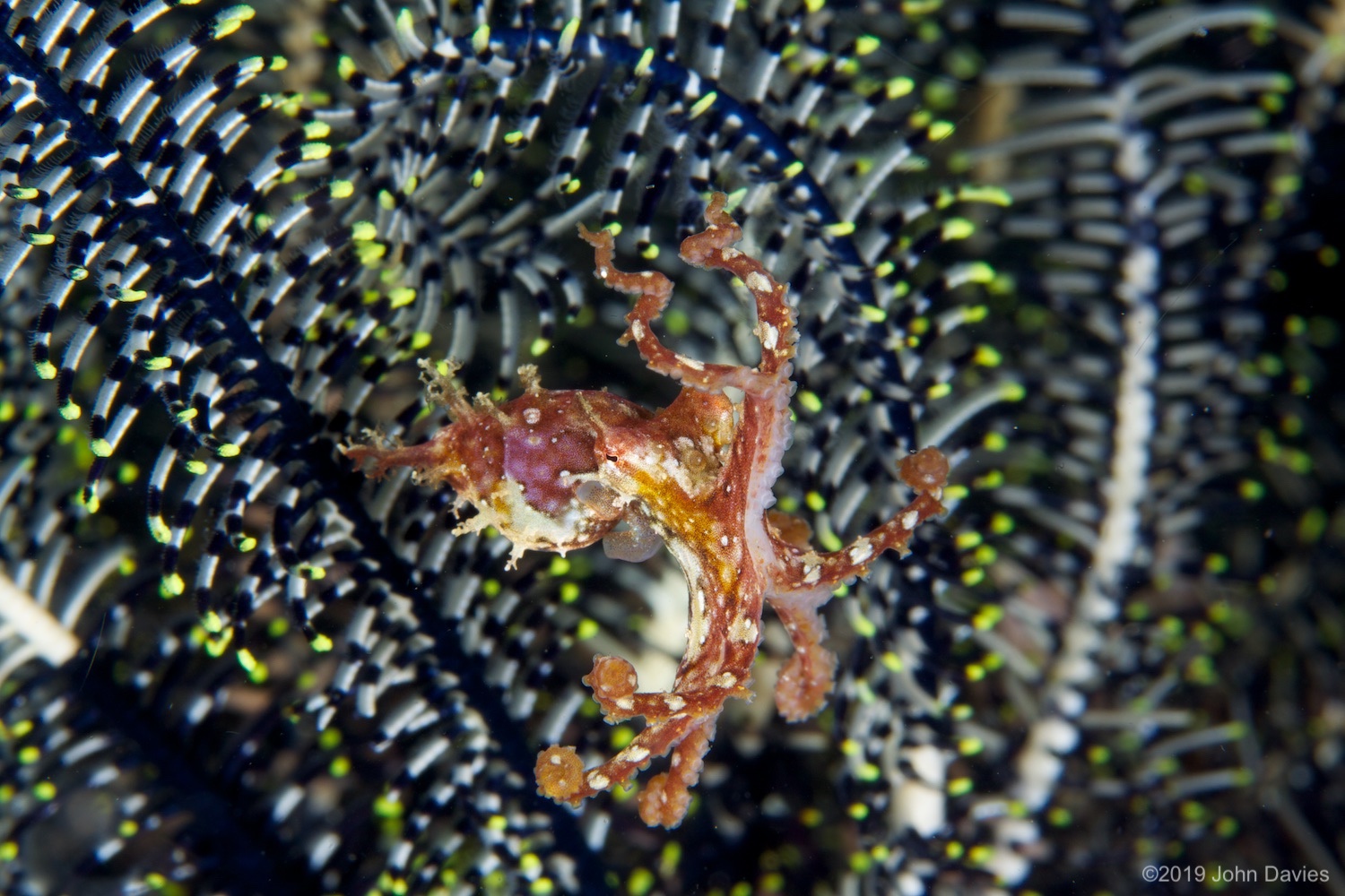 NadLembeh20120031