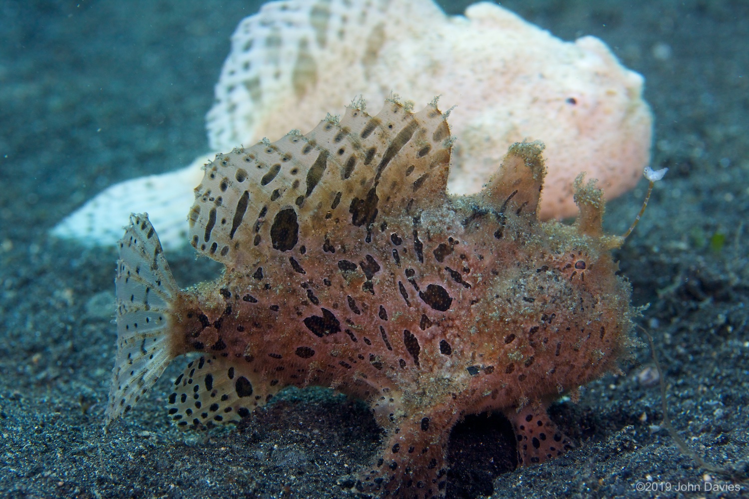 NadLembeh20120033